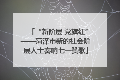 “新阶层 党旗红”——菏泽市新的社会阶层人士奏响七一赞歌